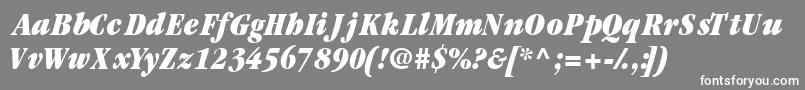 Шрифт Garamondblackcondssk ffy – белые шрифты на сером фоне