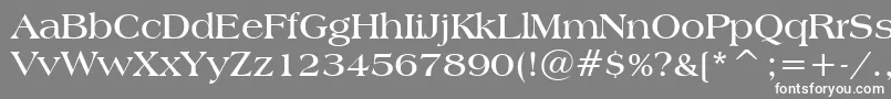 フォントAmericanaBoldBt – 灰色の背景に白い文字