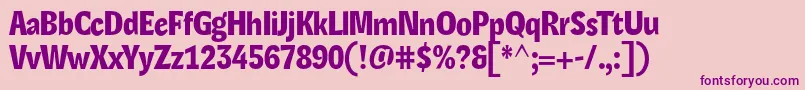 LexonHeadline Font – Purple Fonts on Pink Background