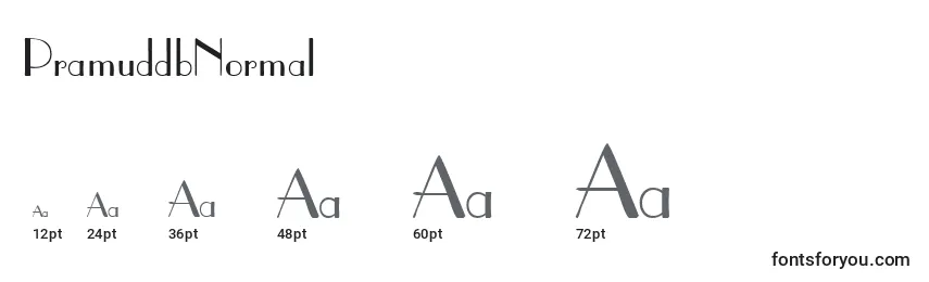 Размеры шрифта PramuddbNormal
