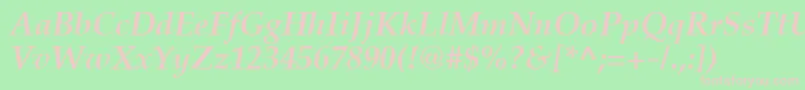 PaltonBolditalic Font – Pink Fonts on Green Background