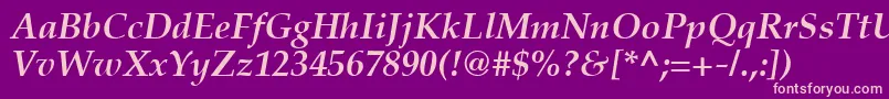 PaltonBolditalic Font – Pink Fonts on Purple Background