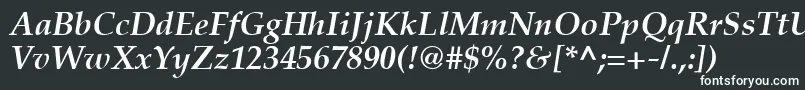 PaltonBolditalic Font – White Fonts on Black Background