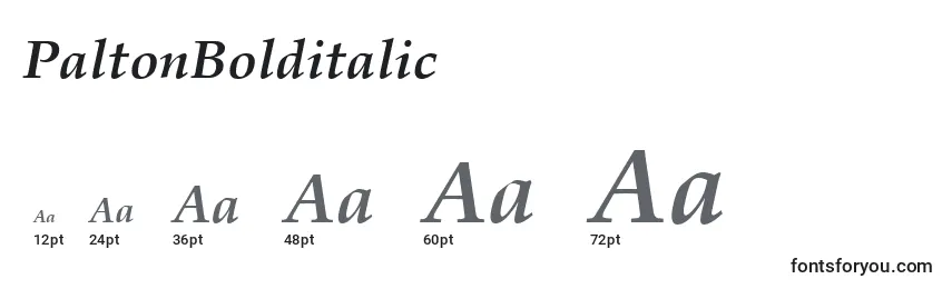 PaltonBolditalic Font Sizes