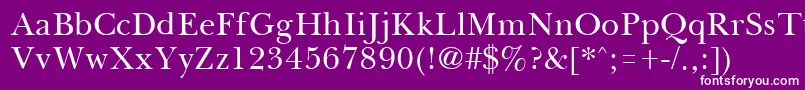 BassetRegular Font – White Fonts on Purple Background