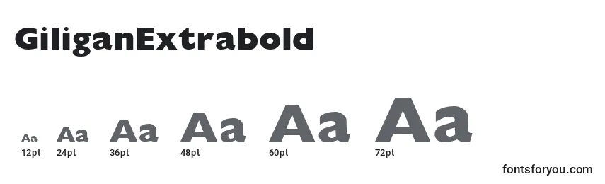 GiliganExtrabold Font Sizes