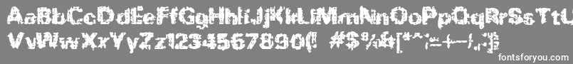 フォントBnRock – 灰色の背景に白い文字