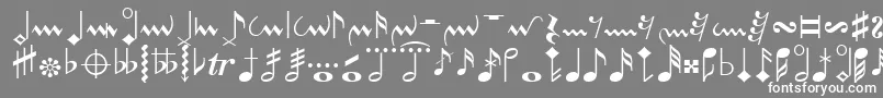 フォントNota1tt – 灰色の背景に白い文字