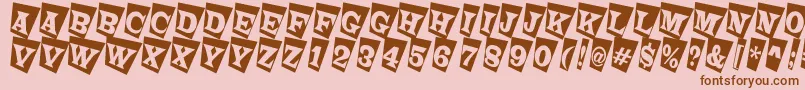 LatinotitulcmtwRegular Font – Brown Fonts on Pink Background