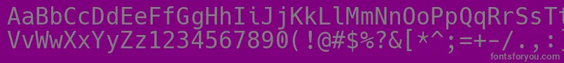 フォントHackRegular – 紫の背景に灰色の文字