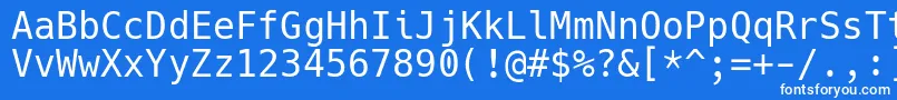 フォントHackRegular – 青い背景に白い文字