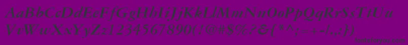 GaramondThreeLtBoldItalic Font – Black Fonts on Purple Background