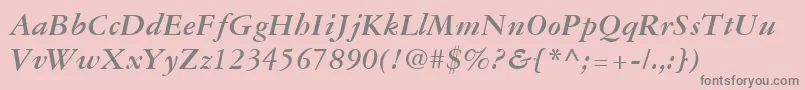 GaramondThreeLtBoldItalic Font – Gray Fonts on Pink Background