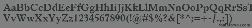 フォントItalianOldStyleMtBold – 黒い文字の灰色の背景