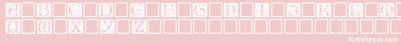 Eileencaps Font – White Fonts on Pink Background