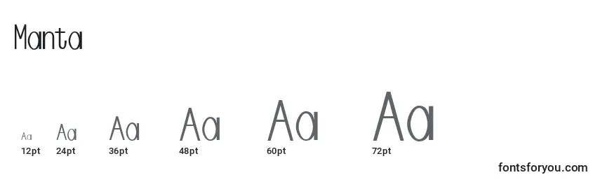 Размеры шрифта Manta