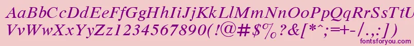 Dutchi Font – Purple Fonts on Pink Background