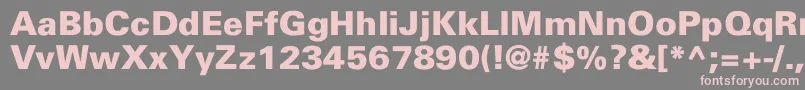 フォントHarvard – 灰色の背景にピンクのフォント