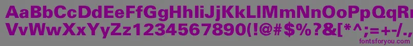 Harvard-fontti – violetit fontit harmaalla taustalla