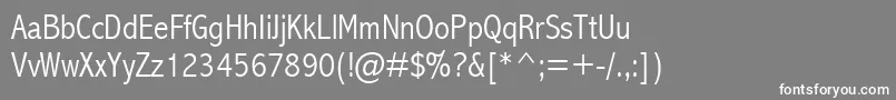 Abalc Font – White Fonts on Gray Background