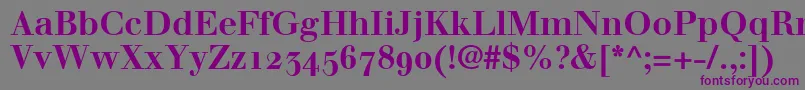 WalbaumBoldOldstyleFigures Font – Purple Fonts on Gray Background