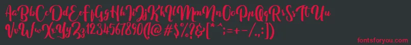 フォントFitamintScript – 黒い背景に赤い文字