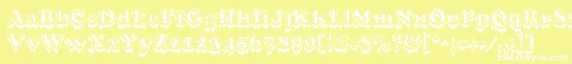 Modius Font – White Fonts on Yellow Background