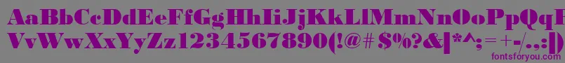 Urwbodonidextbol Font – Purple Fonts on Gray Background