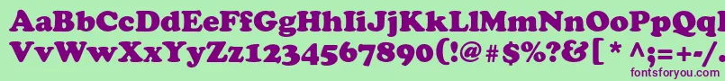Cooperblackstd Font – Purple Fonts on Green Background