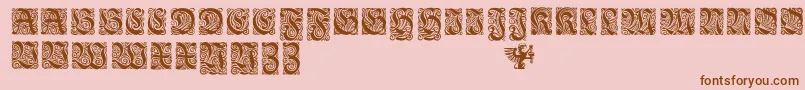 EhmckeFrakturInitialen Font – Brown Fonts on Pink Background