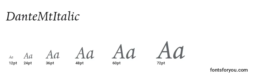 Размеры шрифта DanteMtItalic
