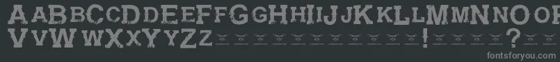 GunfighteracademyRegular Font – Gray Fonts on Black Background