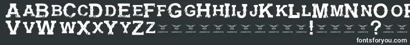 Шрифт GunfighteracademyRegular – белые шрифты