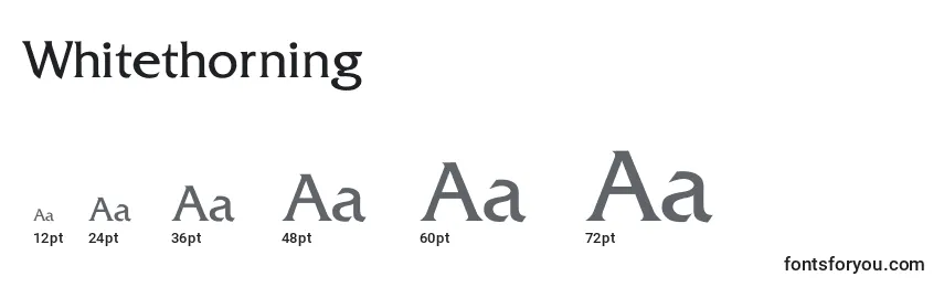 Whitethorning Font Sizes