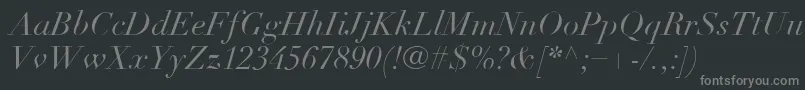LinotypeDidotLtItalic Font – Gray Fonts on Black Background