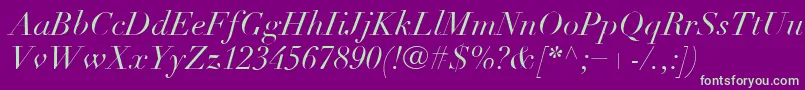 LinotypeDidotLtItalic Font – Green Fonts on Purple Background