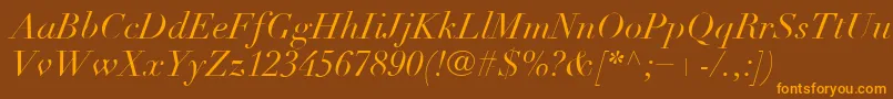 LinotypeDidotLtItalic Font – Orange Fonts on Brown Background