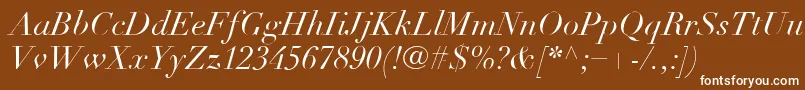 LinotypeDidotLtItalic Font – White Fonts on Brown Background