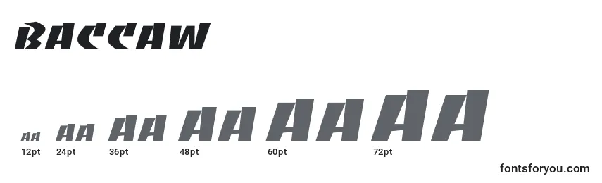 Baccaw Font Sizes