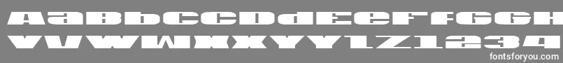 U.S.A Font – White Fonts on Gray Background
