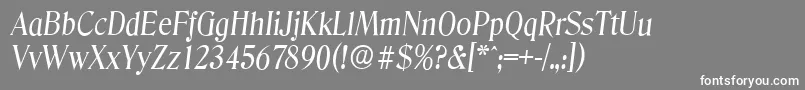 フォントDenverserialItalic – 灰色の背景に白い文字