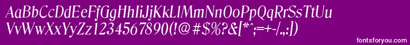フォントDenverserialItalic – 紫の背景に白い文字