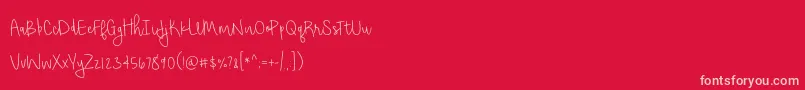 BmdShorthaltThin Font – Pink Fonts on Red Background