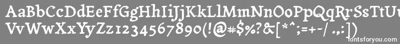 フォントYanonetagesschrift – 灰色の背景に白い文字