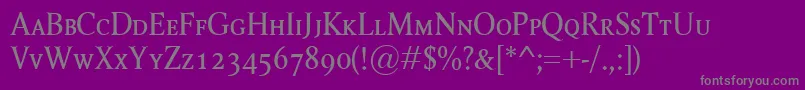 RagnarSc-Schriftart – Graue Schriften auf violettem Hintergrund