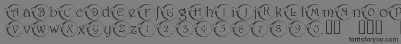 101 Star Lit Nght Font – Black Fonts on Gray Background