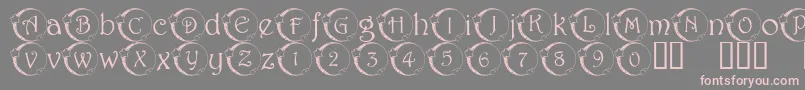 101 Star Lit Nght Font – Pink Fonts on Gray Background