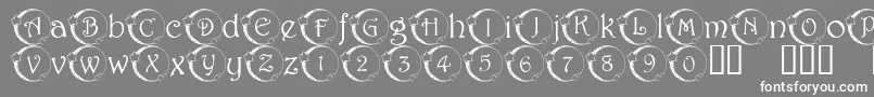 101 Star Lit Nght Font – White Fonts on Gray Background