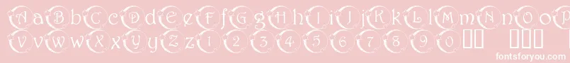 101 Star Lit Nght Font – White Fonts on Pink Background