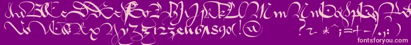 1413   Gothique Cursive Font – Pink Fonts on Purple Background